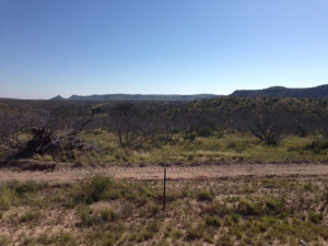 Hwy 208 (3)
