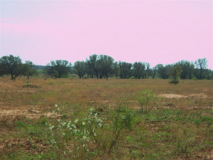 Hwy 277 (22)