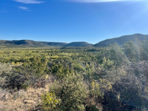 Bird Ln (10)