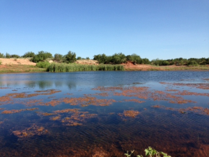 Hwy 158, One mile easement (2)