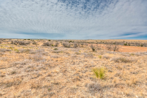 12487 County Rd 4102 (112)