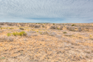 12487 County Rd 4102 (114)