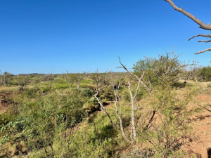350 Matapeak Rd (12)