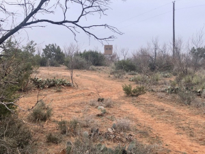 Minenille Rd (13)