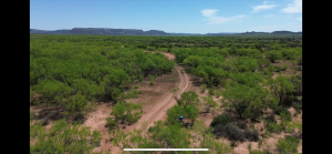 Mitchell County Rd (14)