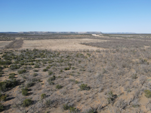 1300 Paint Creek Rd Robert Lee, TX 76945 (29)