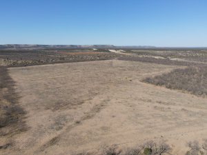 1300 Paint Creek Rd Robert Lee, TX 76945 (31)