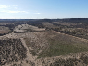 1300 Paint Creek Rd Robert Lee, TX 76945 (33)