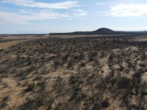 1300 Paint Creek Rd Robert Lee, TX 76945 (35)