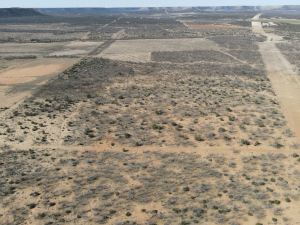 1300 Paint Creek Rd Robert Lee, TX 76945 (37)