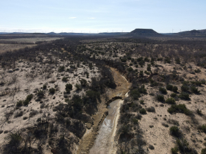 1300 Paint Creek Rd Robert Lee, TX 76945 (43)