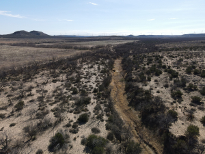 1300 Paint Creek Rd Robert Lee, TX 76945 (45)