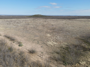 1300 Paint Creek Rd Robert Lee, TX 76945 (49)