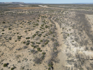 1300 Paint Creek Rd Robert Lee, TX 76945 (51)