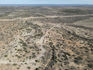 1300 Paint Creek Rd Robert Lee, TX 76945 (53)