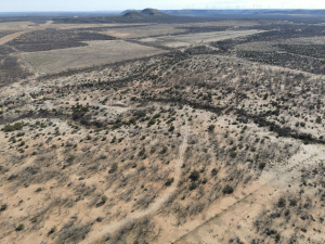 1300 Paint Creek Rd Robert Lee, TX 76945 (54)