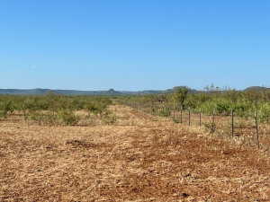 350 Matapeak Rd (14)