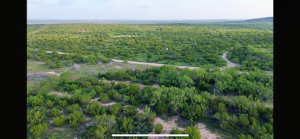 Gas Plant Rd (14)