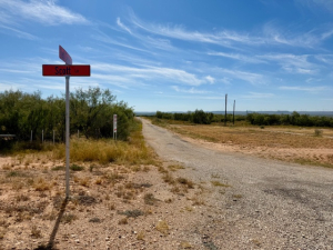 Scott Lane (13)