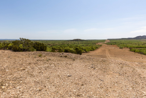 Paint Creek Rd (40)