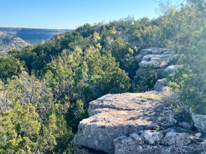 Bird Ln (14)
