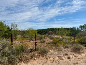 Scott Lane (14)