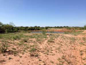 Hwy 158, One mile easement (22)