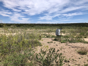 Vanderventer Rd (16)