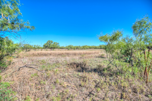 5490 State Hwy 208 (46)