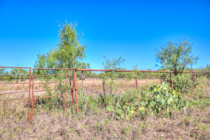 5490 State Hwy 208 (49)