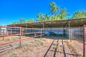 5490 State Hwy 208 (52)