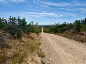 Scott Lane (16)