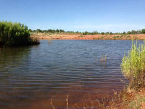 Hwy 158, One mile easement (7)