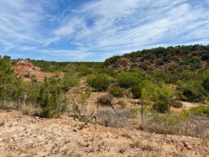 Scott Lane (17)