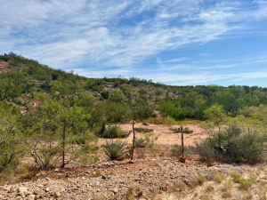 Scott Lane (18)