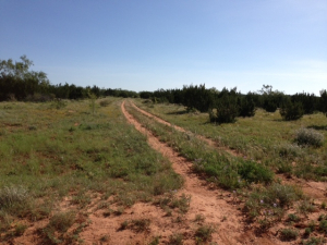 Hwy 158, One mile easement (23)