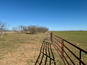 Hwy 36 (71)