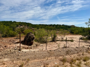 Scott Lane (19)