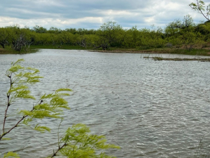 Hwy 36 (2)