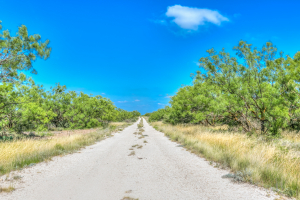 11935 Little Sorrel Trail (5)