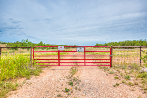 583 Cox Road (2)