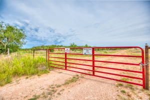 583 Cox Road (3)