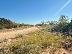 East Hayrick Road (2)