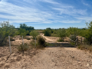 Scott Lane (2)