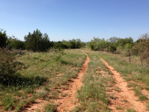 Hwy 158, One mile easement (32)