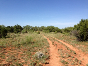 Hwy 158, One mile easement (8)