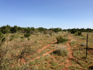 Hwy 158, One mile easement (17)