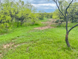 Hwy 36 (23)