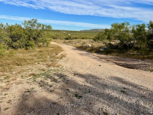 Bird Ln (23)