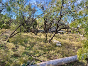 Bird Ln (24)